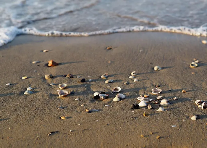 Lägenhet Charming Beachfront With A Bright Terrace Bibione