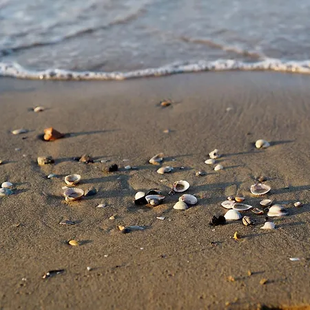 Apartment Charming Beachfront With A Bright Terrace Bibione